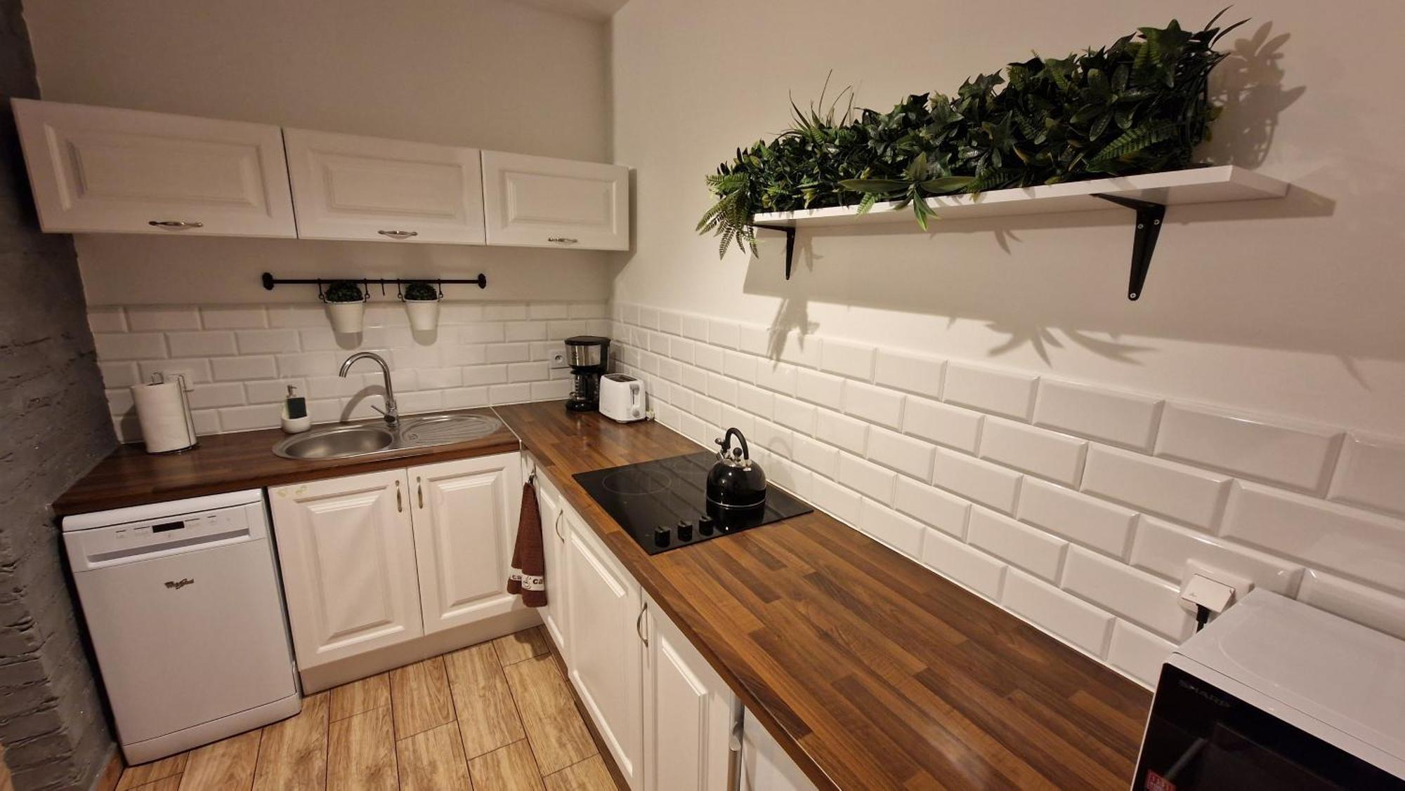 Monia Apartment Świeradów-Zdrój Exteriér fotografie